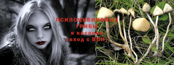 ECSTASY Белоозёрский