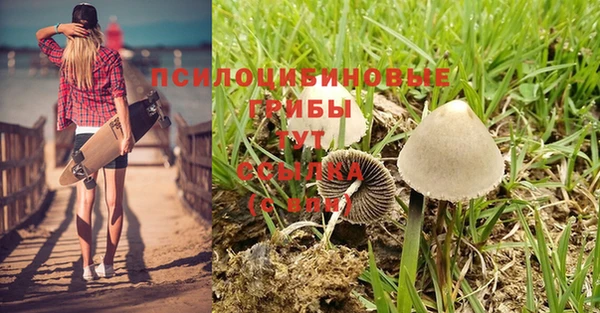 прущая мука Беломорск