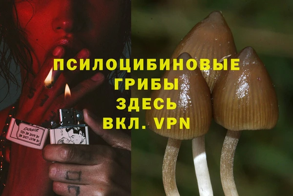 ECSTASY Белоозёрский