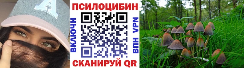 Купить где  Сызрань  Галлюциногенные грибы GOLDEN TEACHER 